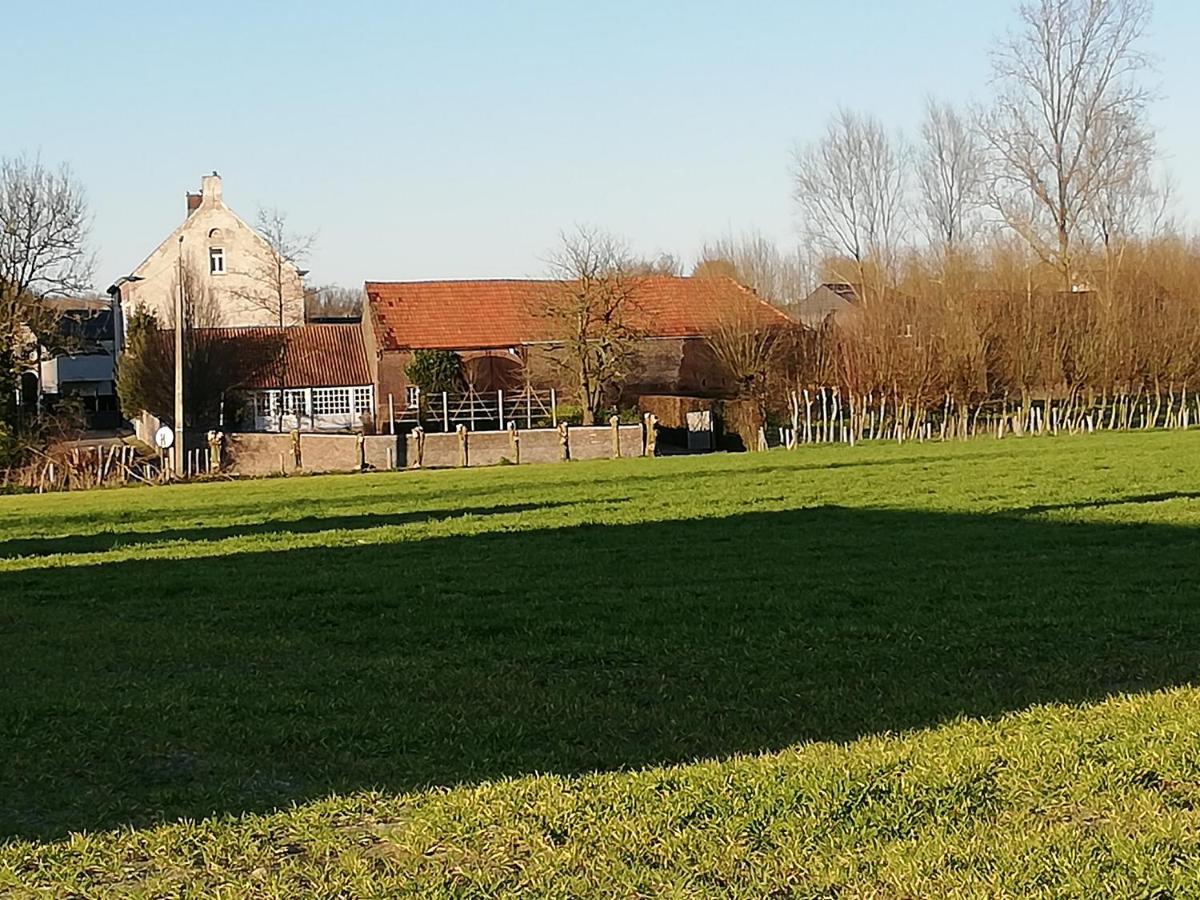 Hofstede Ter Biest Panzió Zwalm Kültér fotó